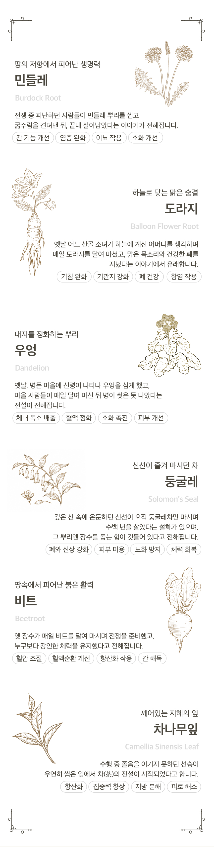 천월차 식이섬유차 무카페인 대용량, 명상 아티스트가 설계한 비움 프리미엄 티백 (75g)