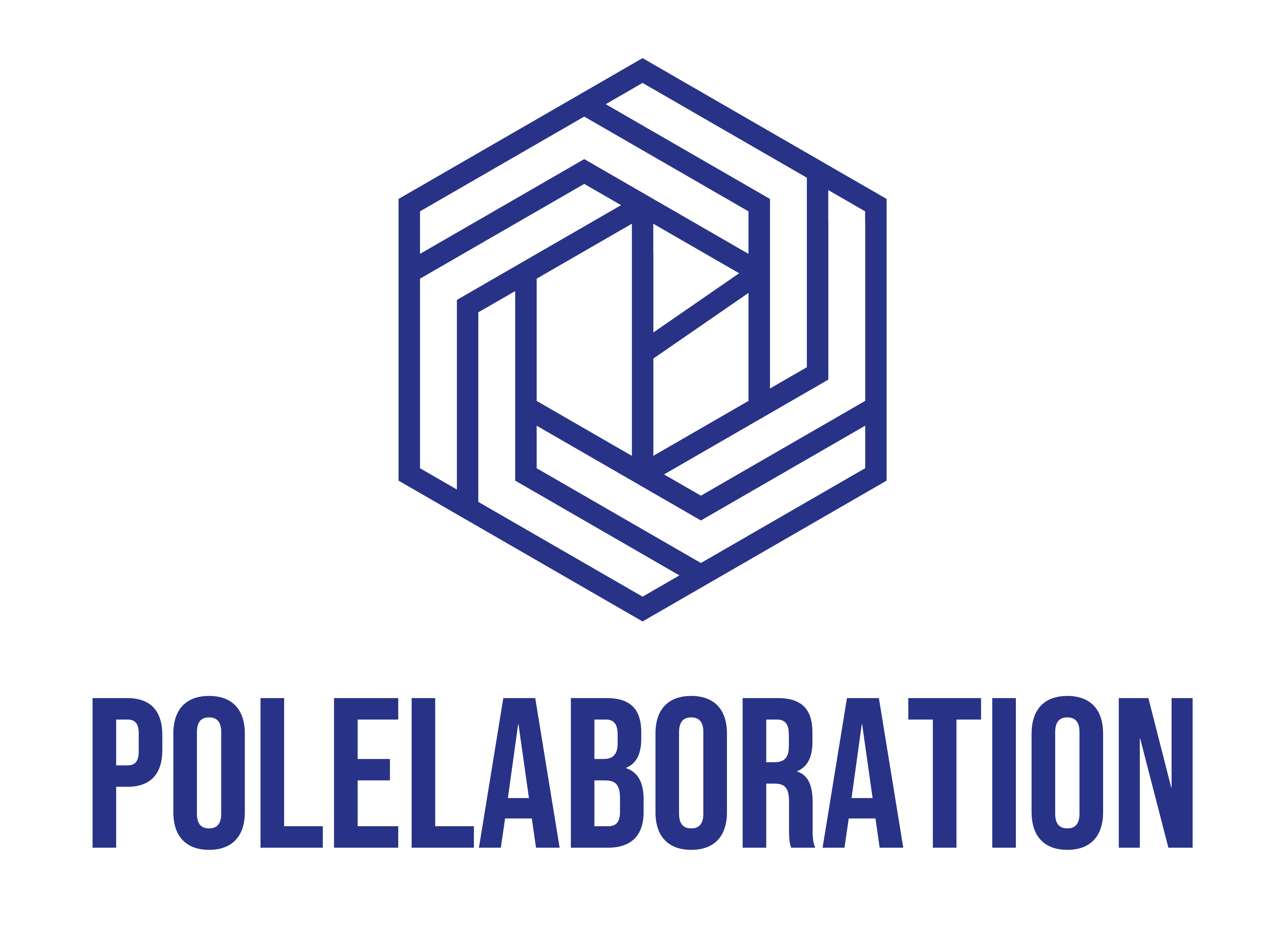 폴라보레이션 (Polelaboration)
