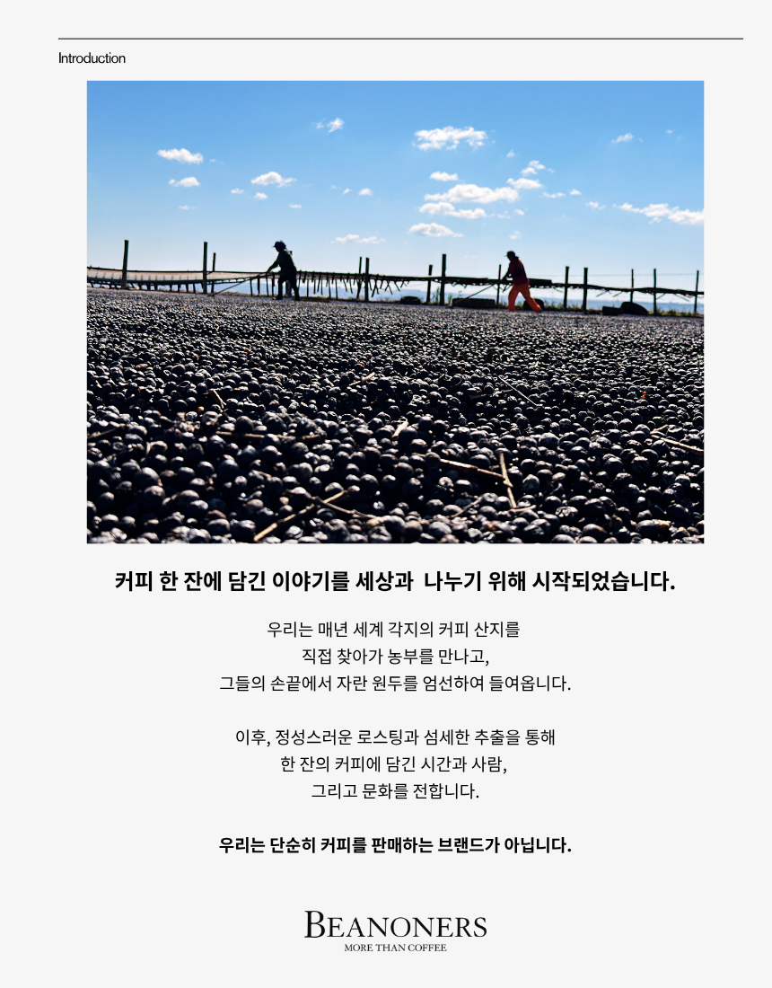 쟐로 드립백 10개입
