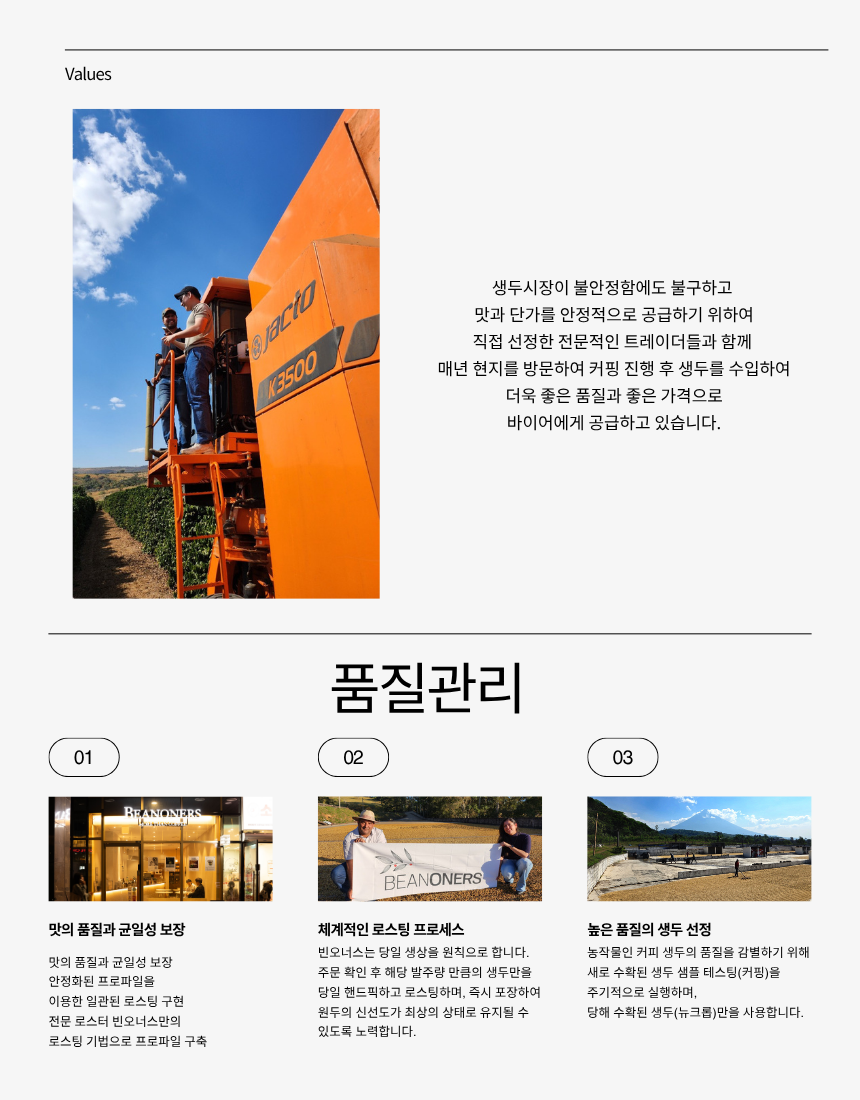쟐로 드립백 10개입