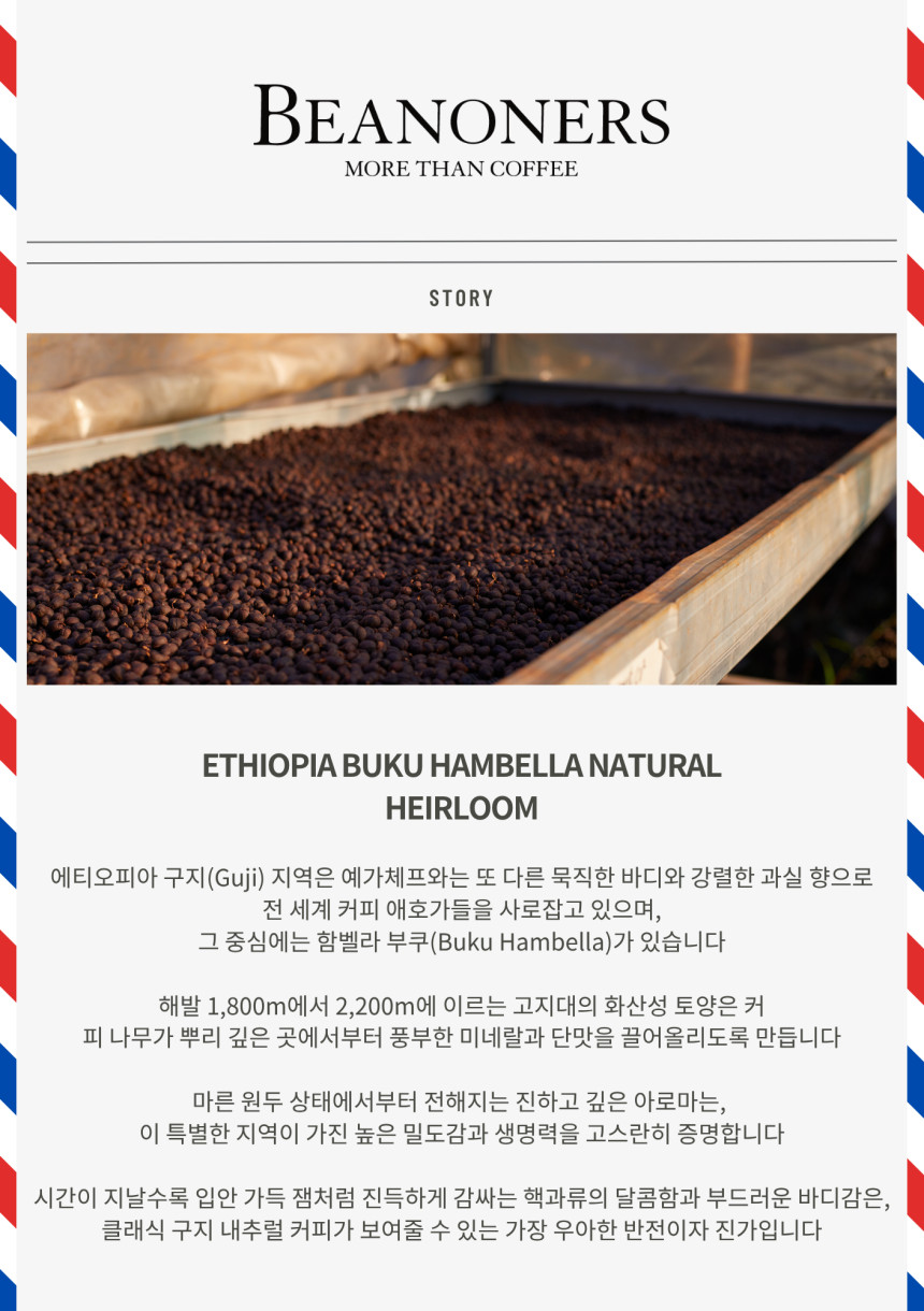 에티오피아 구지 함벨라 부쿠 내추럴 커피 생두