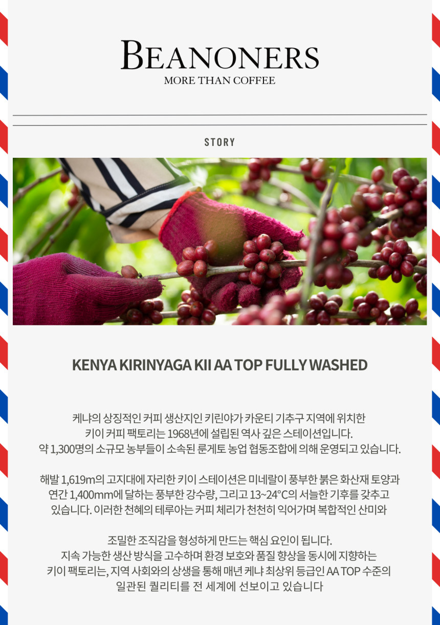 케냐 키린야가 키 AA TOP 워시드 커피 생두