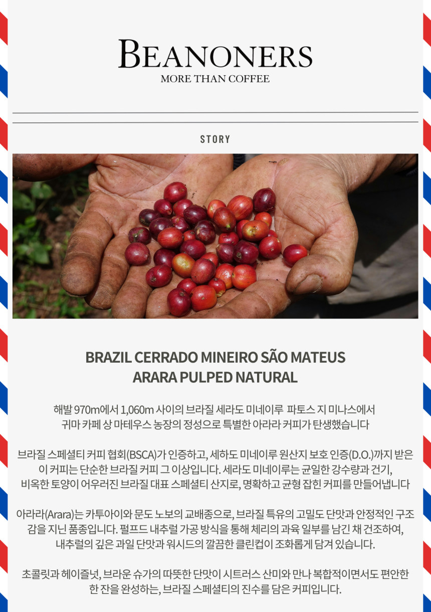 브라질 세하도 기마카페 아라라 커피 생두