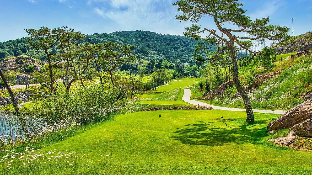 충북/증평 벨포레cc 1박2일 26년 5~6월