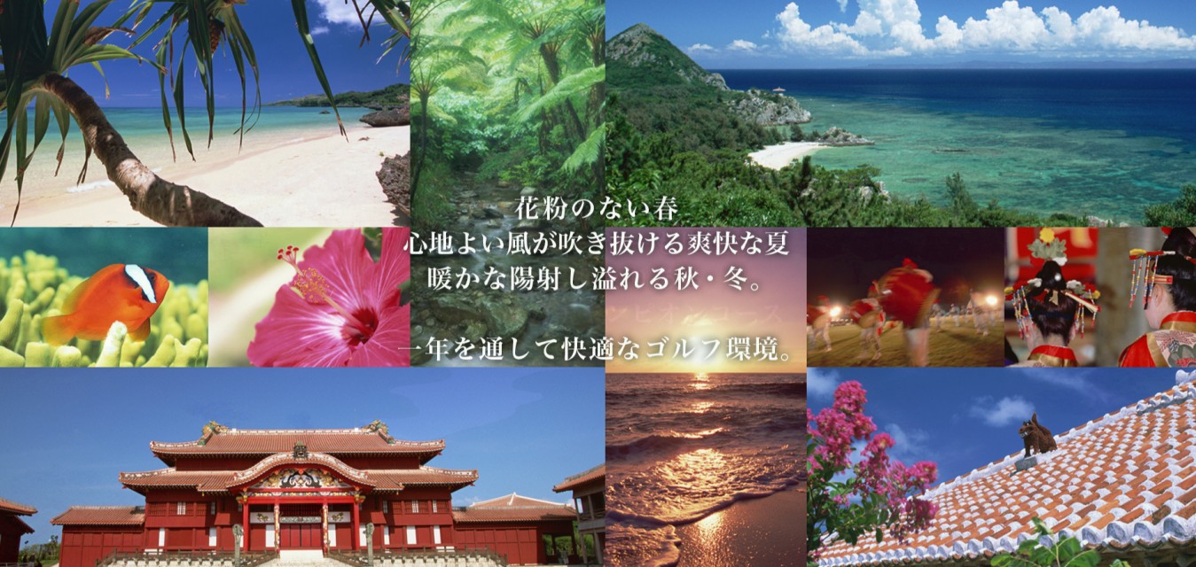 일본/오키나와 명문 토너먼트골프, 관광, 미식 26년 10월~27년 3월