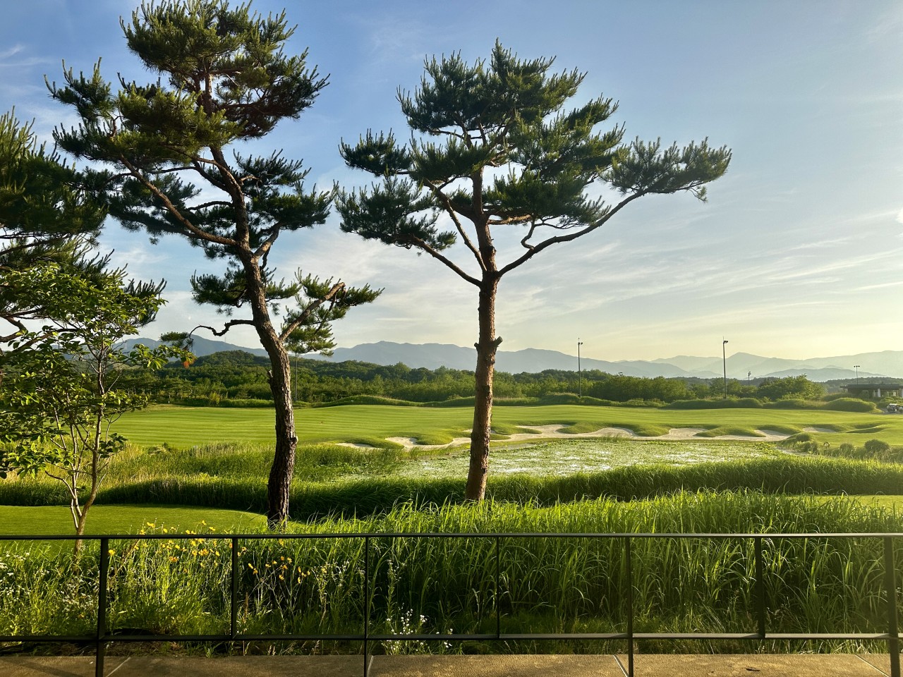강원/강릉 메이플비치cc 1박2일 26년 9월