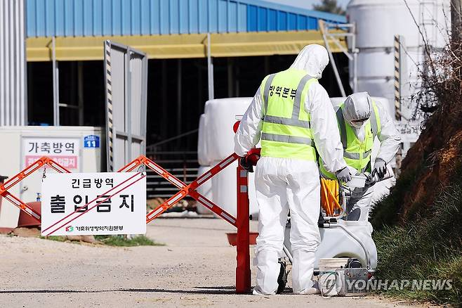 출입 통제된 구제역 발생 한우농장 (영암=연합뉴스) 정다움 기자 = 14일 오전 구제역이 발생한 전남 영암군 한 한우농장 앞에서 방역본부 관계자들이 출입 통제 안내판을 설치하고 있다. 2025.3.14 daum@yna.co.kr