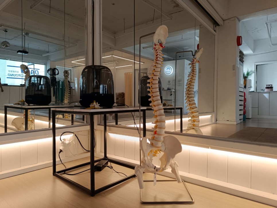 이색워크숍셀프척추운동