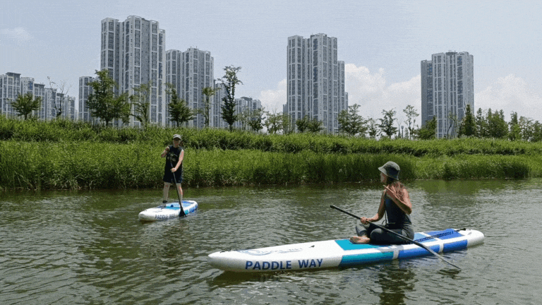 이색워크숍패들보드