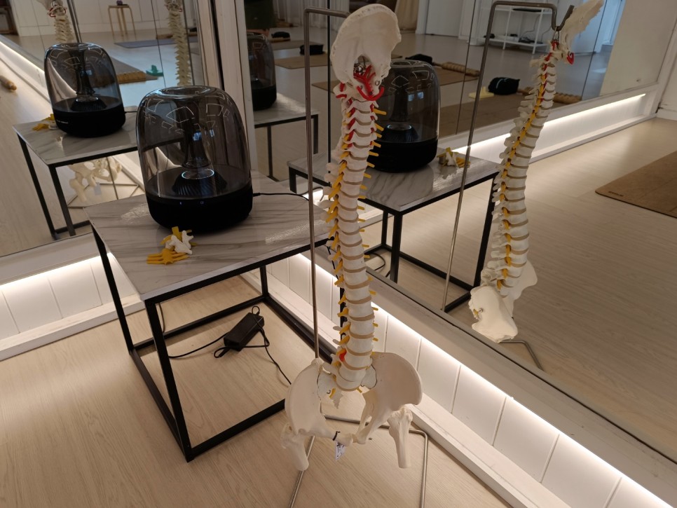 이색워크숍셀프척추운동