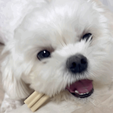 76452636e1cbc.gif