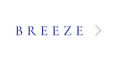 브리즈