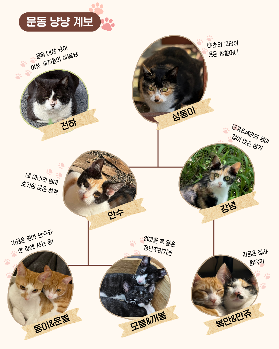 077091d62a7d9.png