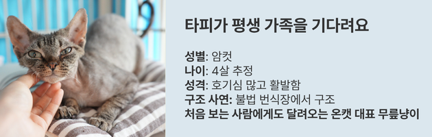 b291e3854d407.png