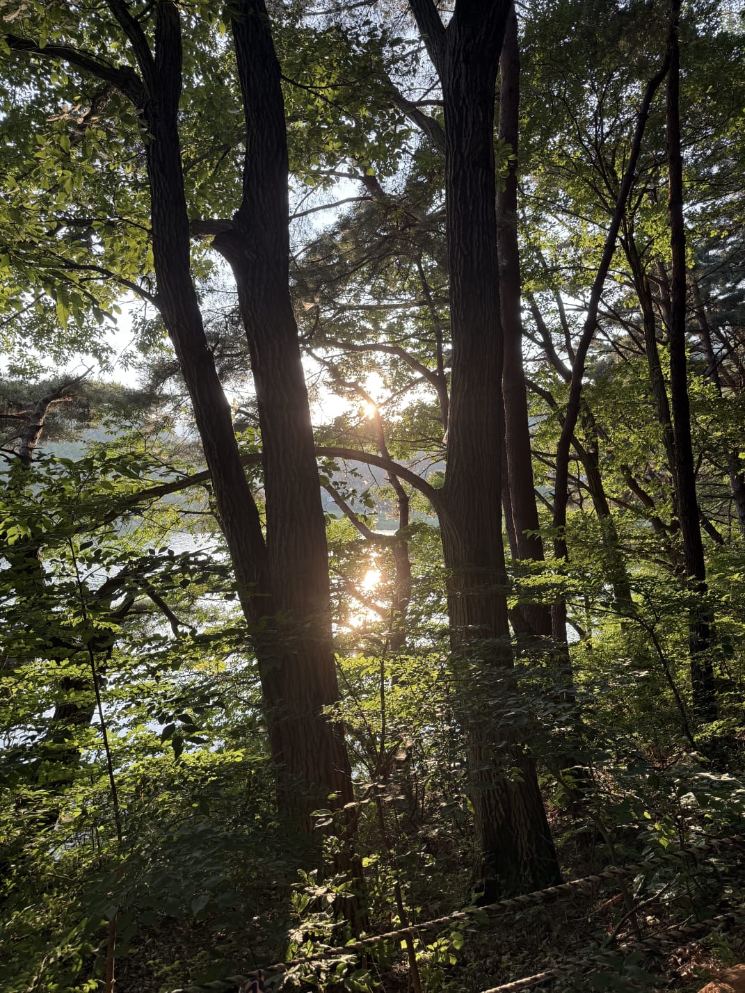 1807878578111.jpeg