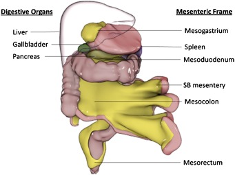 371c398861fce.jpg