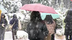 Seoul sees heaviest November snowfall ...