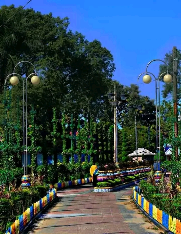 c2410933e4aef.jpg