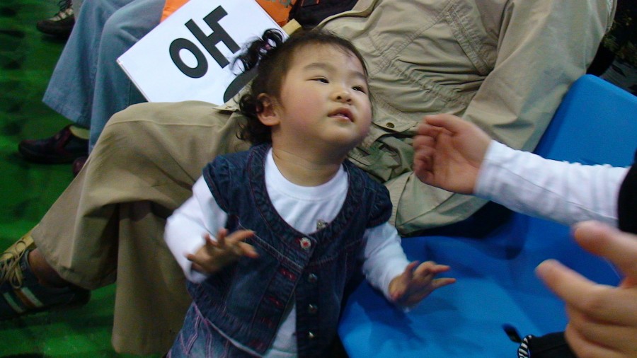 494e9f772d224.jpg
