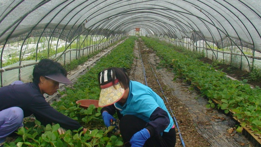 c7f6154f5aa2c.png