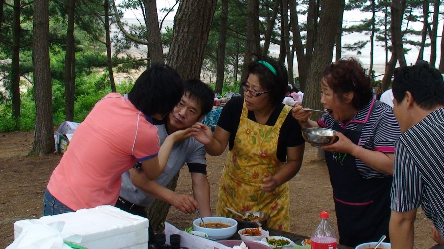d7aba04a349e9.jpg