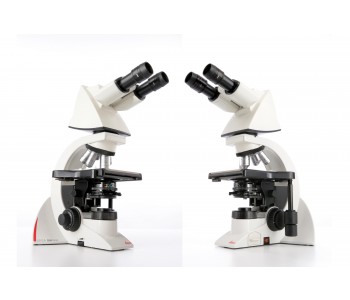 1c03aae6177d6.jpg