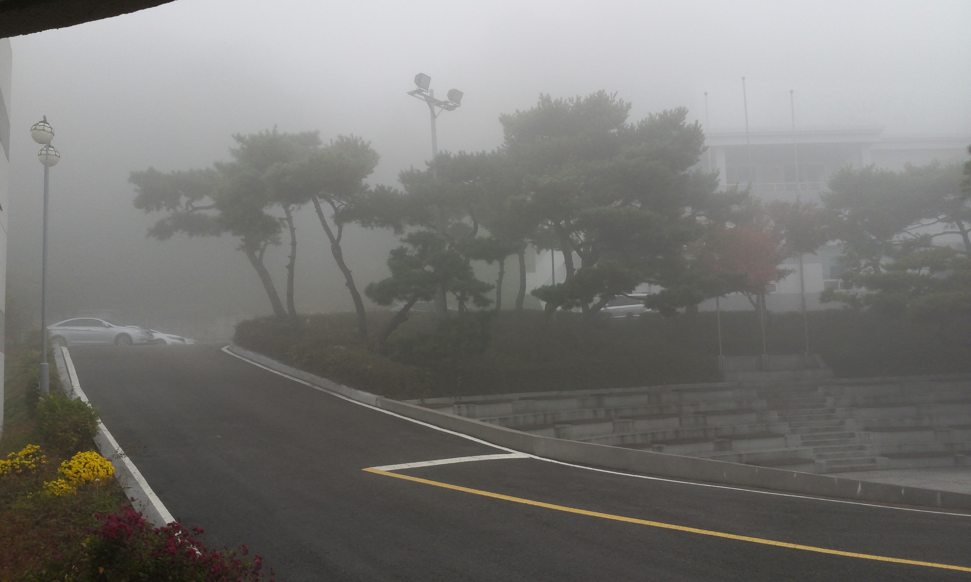 20141026_07570893.jpg