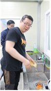 7a336f41d1dc5.png