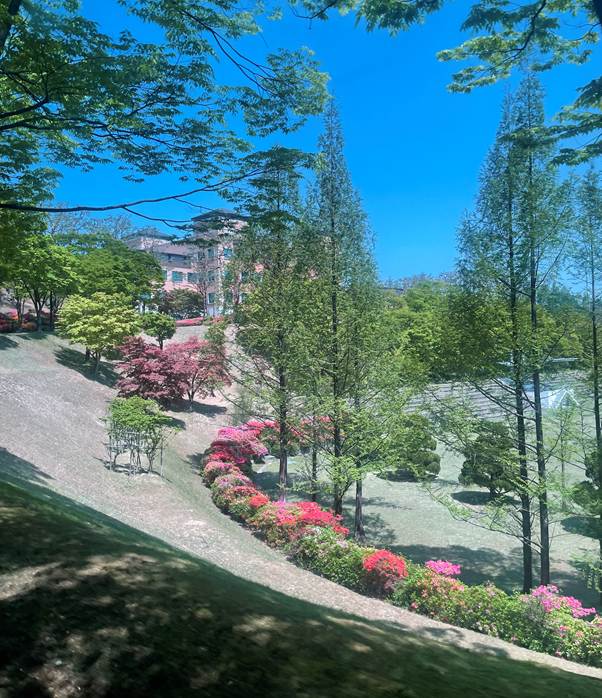 야외, 식물, 하늘, 공원이(가) 표시된 사진 AI가 생성한 콘텐츠는 부정확할 수 있습니다.