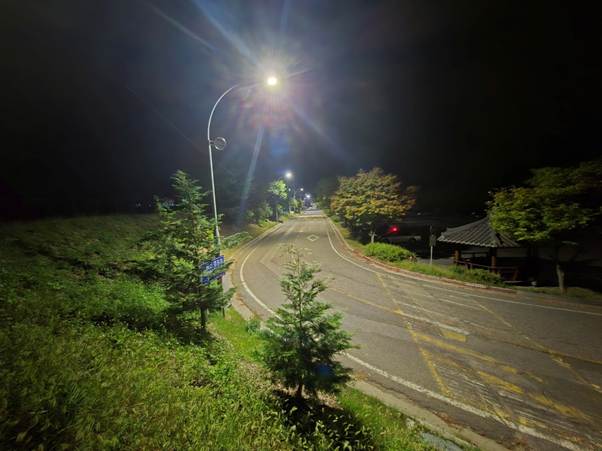 야외, 식물, 잔디, 하늘이(가) 표시된 사진 AI 생성 콘텐츠는 정확하지 않을 수 있습니다.