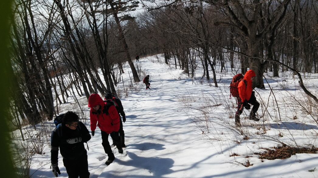 크기변환_20150214_110931.jpg