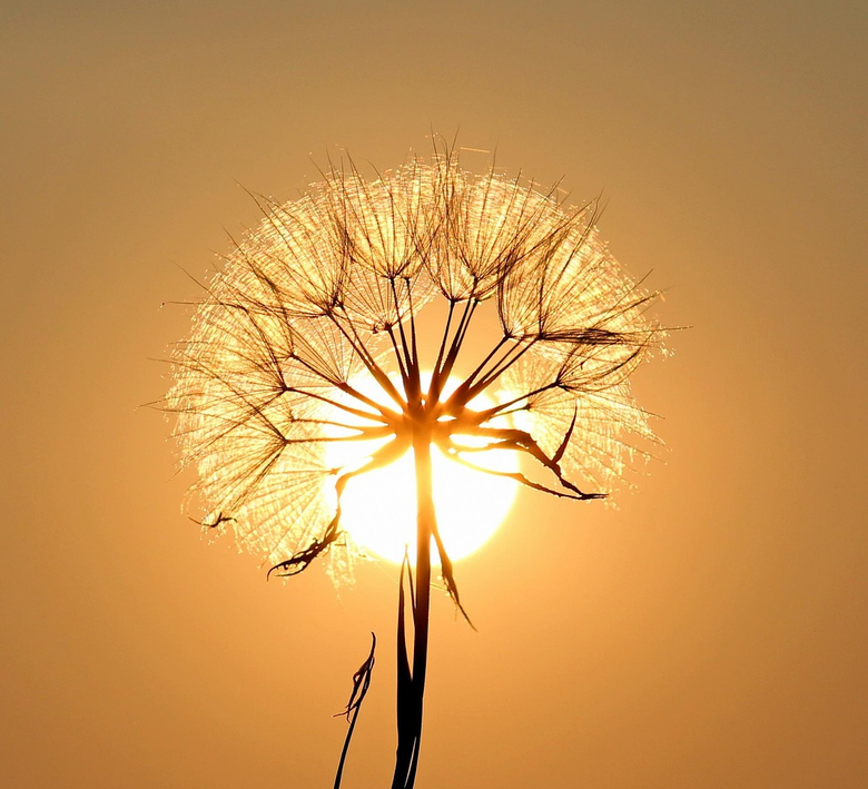 이미지=픽사베이.