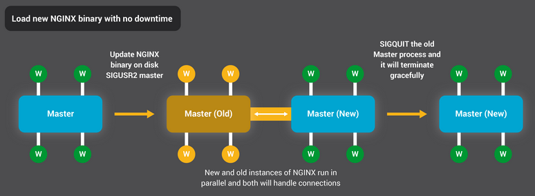 NGINX는 다운타임(요청 처리 중단) 없이 바이너리를 다시 로드합니다.