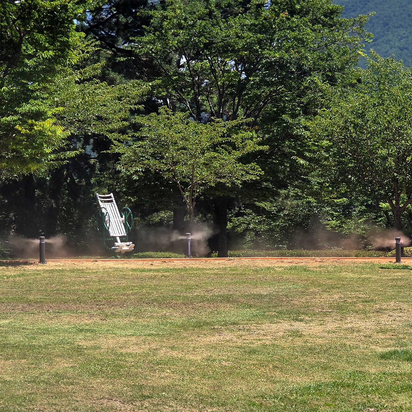 597d867188c1a.jpg