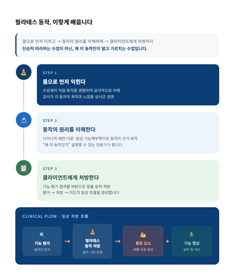 움직임의 원리-재활관점필라테스 레벨2과정 복제
