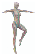 b1c6e248a4a83.png