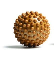 e95a71ef14c3e.png