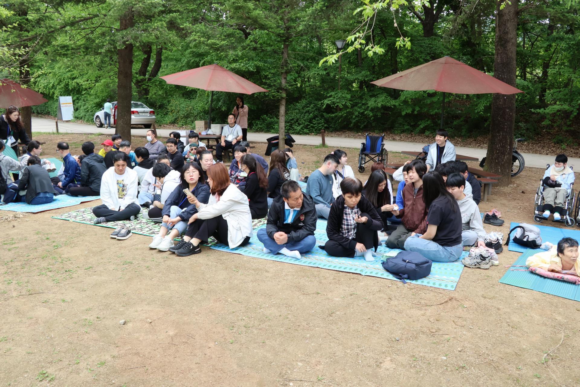 41db2e06a925b.jpg
