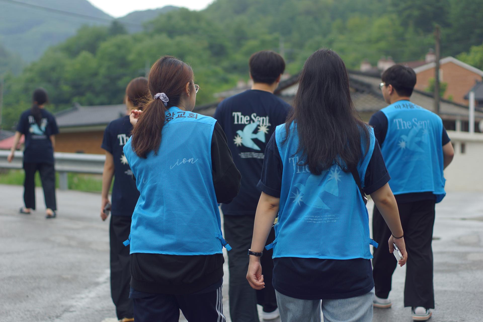 c994c28642924.jpg