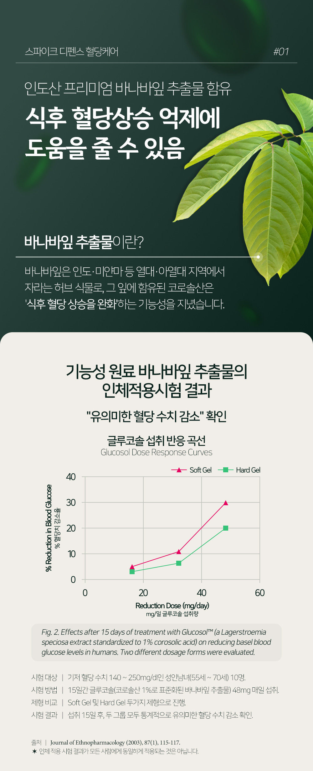 비타바이브 스파이크 디펜스 혈당케어 선물세트 바나바잎 필름 영양제