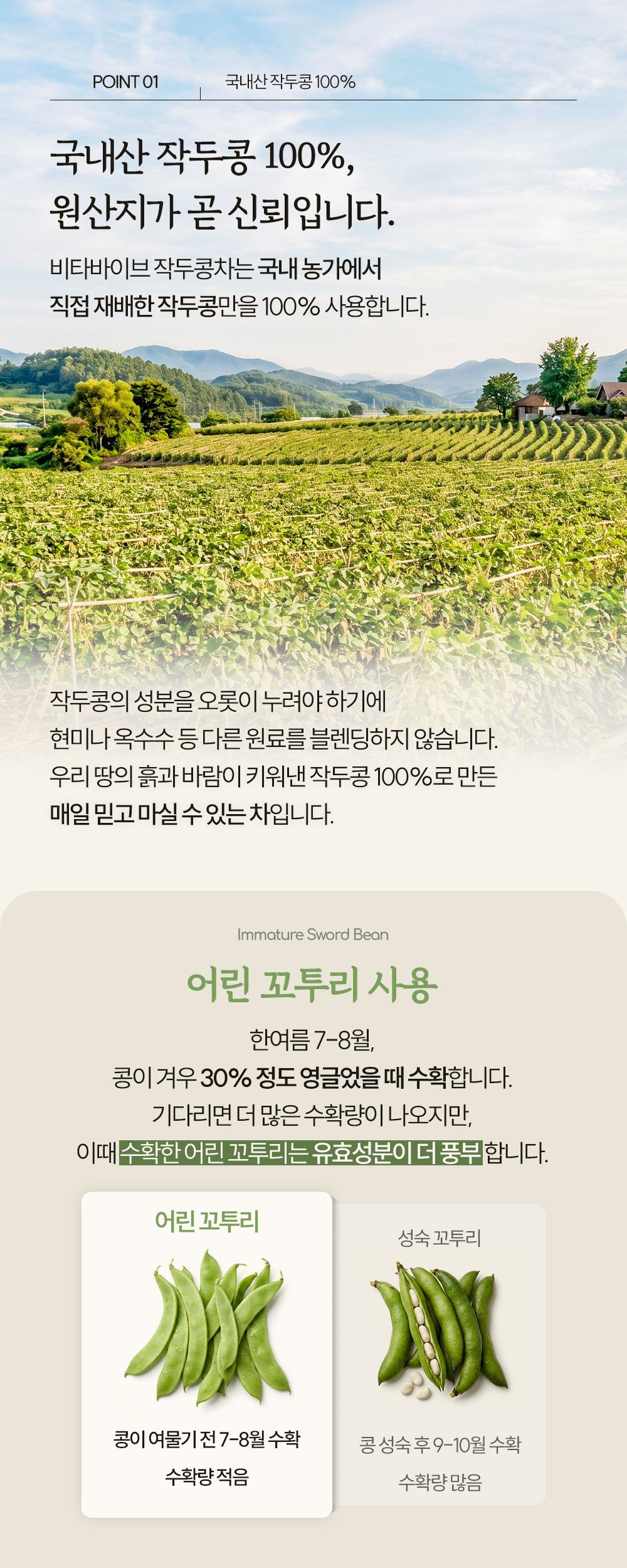 비타바이브 작두콩차 액상스틱 15포 1개 국산 100% 저온 덖음 볶은작두콩