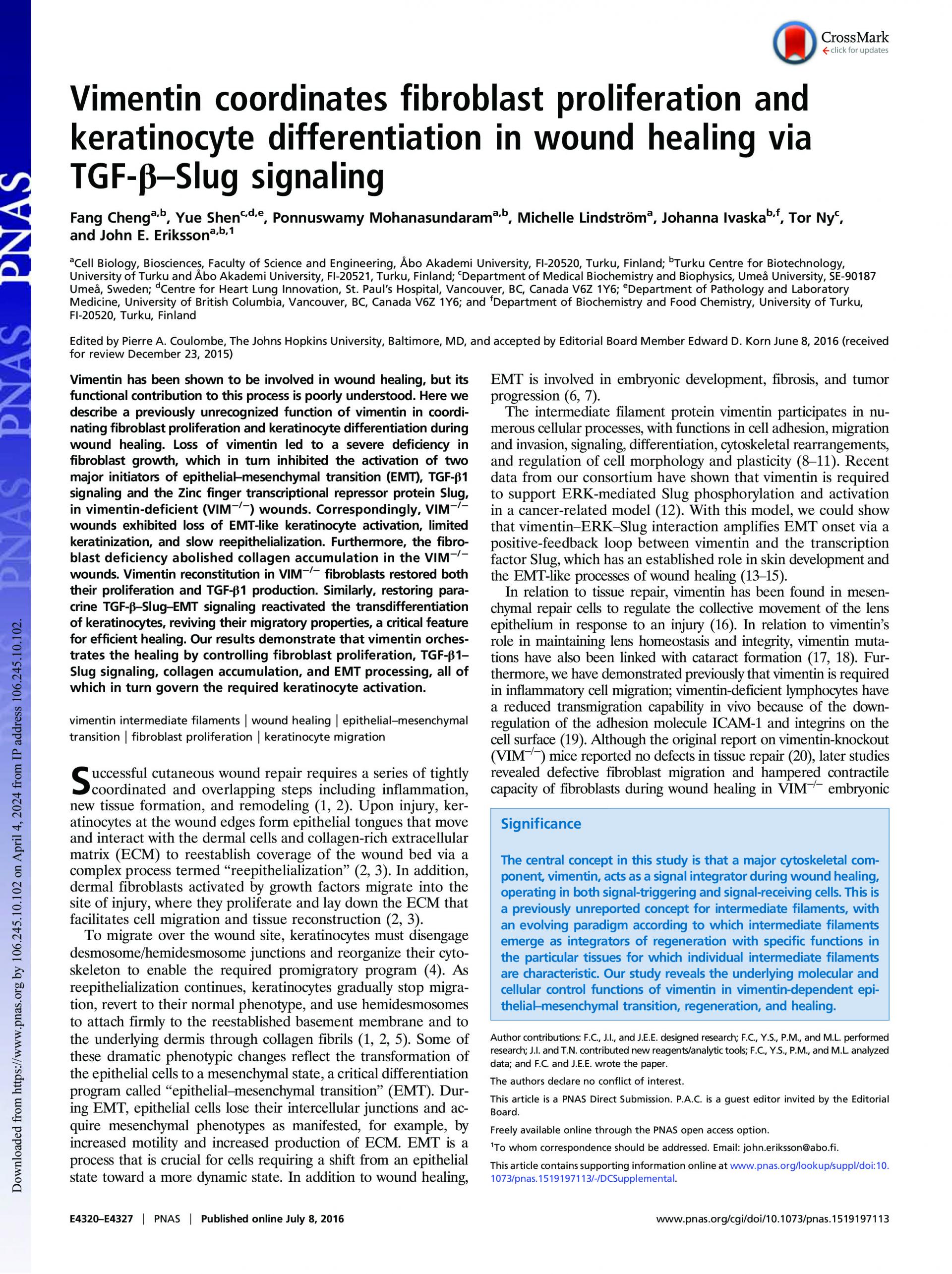 Vimentin Coordinates Fibroblast Proliferation and Keratinocyte Differentiation in Wound Healing via TGF-β–Slug Signaling 논문 이미지