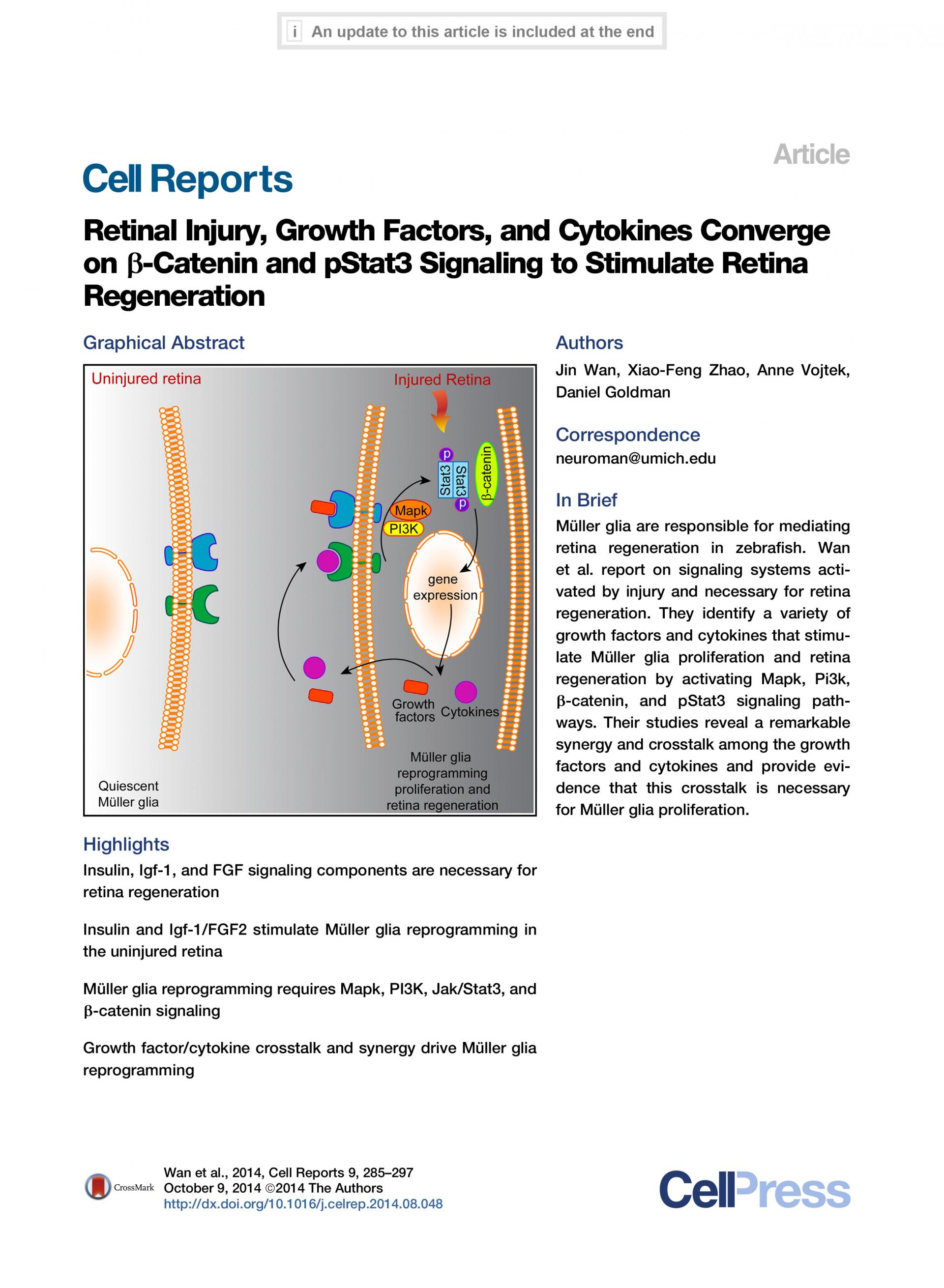 Retinal Injury, Growth Factors, and Cytokines Converge on β-Catenin and pStat3 Signaling to Stimulate Retina Regeneration 논문 이미지