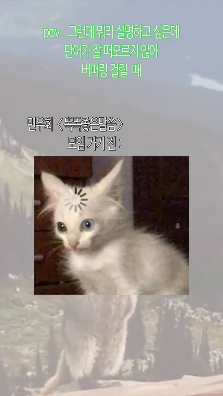 배경은 흐린 하늘. 상단에 초록색 네온 텍스트. 중앙에 흰 고양이 얼굴의 클로즈업. 고양이 이마 위에 로딩 중 표시(시간 모래시계 같은 아이콘)가 그려짐. 파란 눈과 놀란 표정. 하단에 흰 배경의 텍스트 박스.