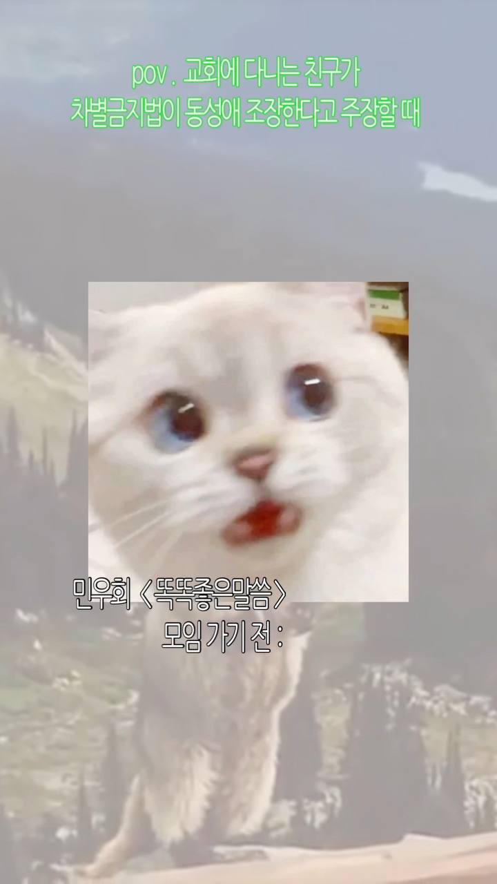 배경은 흐린 하늘 풍경. 상단에 초록색 네온 텍스트. 중앙에 놀란 표정의 하얀 고양이 얼굴 클로즈업 사진이 직사각형 프레임으로 배치. 고양이는 둥근 파란색 눈, 핑크색 코와 입. 하단에 흰 배경의 텍스트 박스.