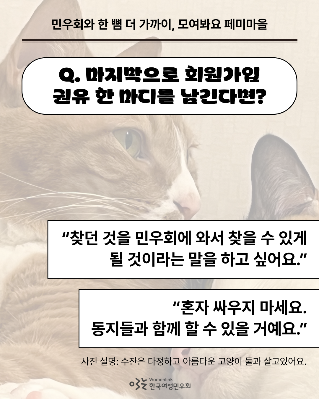 민우회원 수잔이 찍은 수잔의 반려묘를 찍은 사진을 배경으로 한 여섯 번째 이미지. 이미지 위쪽에는 인터뷰 질문 ‘Q. 마지막으로 회원가입 권유 한 마디를 남긴다면?’이 쓰여있다. 그 아래에는 답변 중 일부를 발췌한 내용이 네모 박스 안에 적혀 있다.이미지 아래쪽은 배경의 사진을 설명하는 내용이 첨부되어있다.