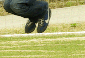 1243000457.gif