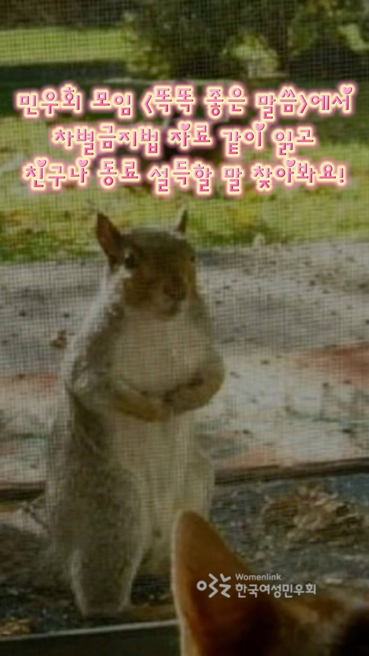 배경은 울타리와 녹색 풀밭의 실제 사진 배경. 상단에 핑크색 네온 글로우 효과 텍스트. 중앙에 뒷다리로 서 있는 갈색/베이지색 수달의 전신 사진. 수달은 앞발을 가슴에 모으고 정면을 향함. 하단에 한국여성민우회 로고.