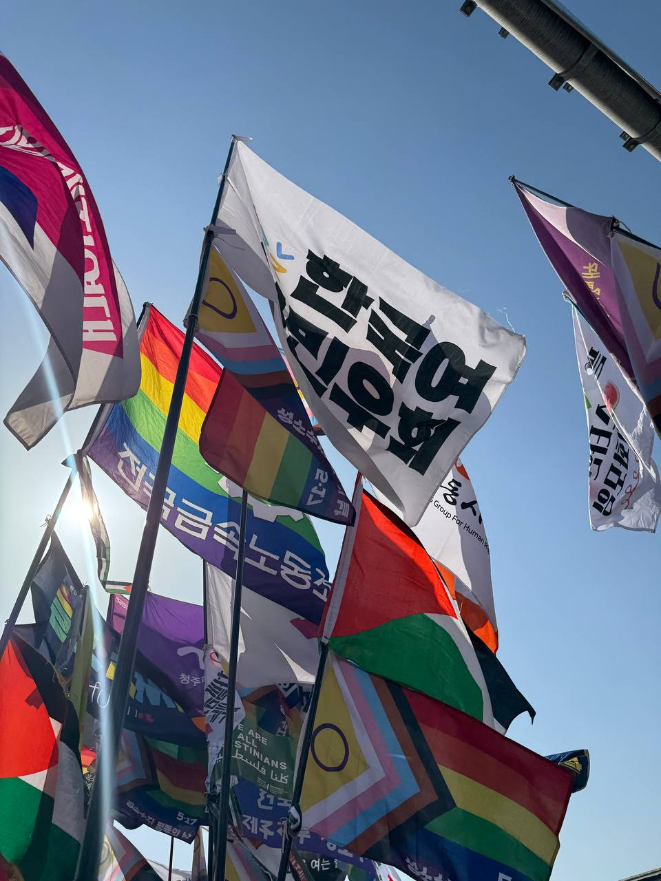 af829601b454c.png