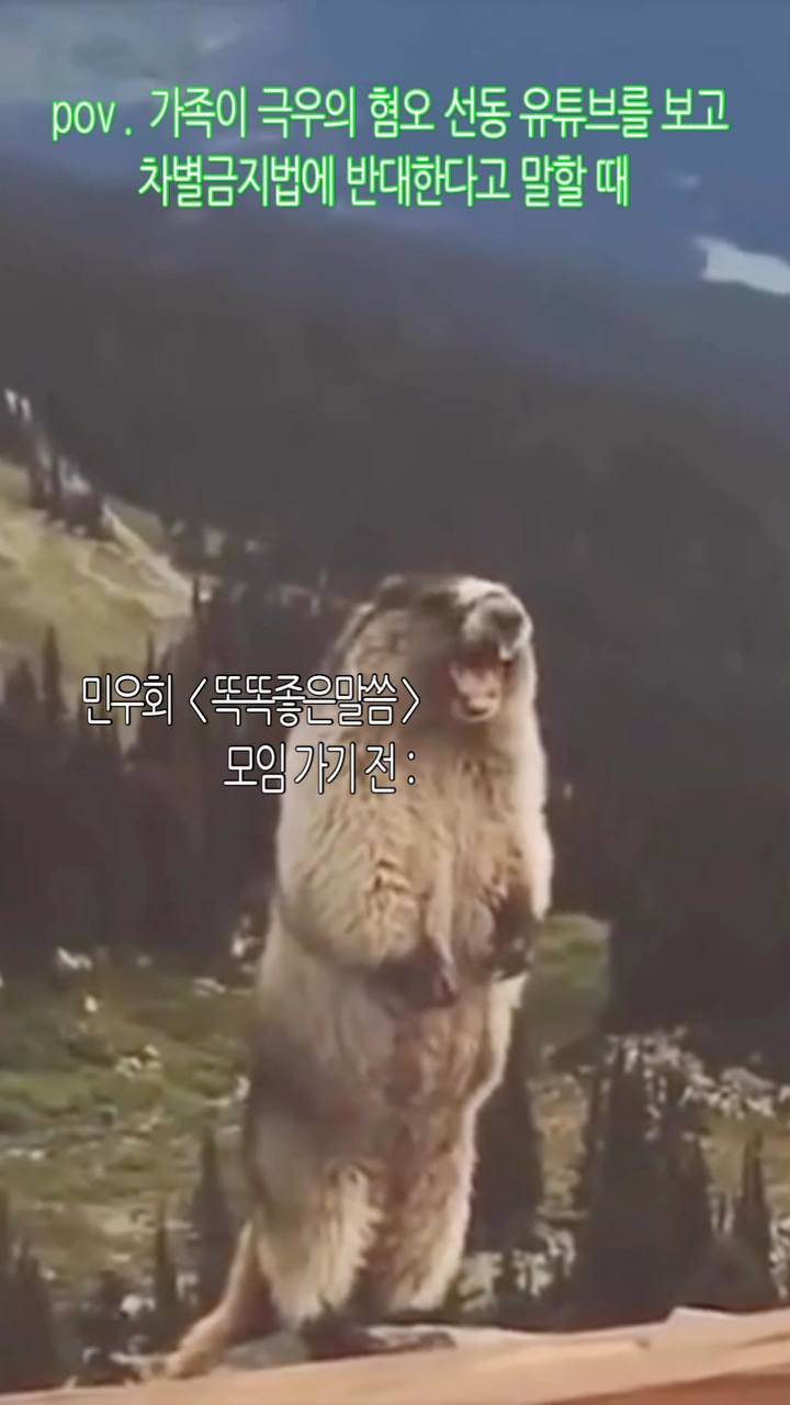 배경은 어두운 회색과 검정색의 흐릿한 산 풍경. 상단에 초록색 네온 글로우 효과의 텍스트. 중앙에 밝은 갈색/베이지색 수달이 뒷다리로 서 있는 전신 사진. 수달의 앞발은 가슴 위치, 얼굴은 정면을 향함. 하단에 흰 배경의 텍스트 박스.